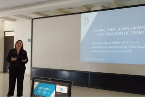 Foto01-2doTaller-OCDE